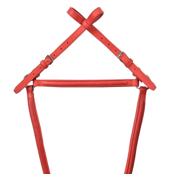 Derby Breastplates - Image 14