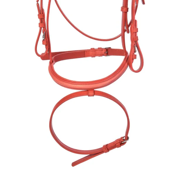 Derby Bridles - Image 28