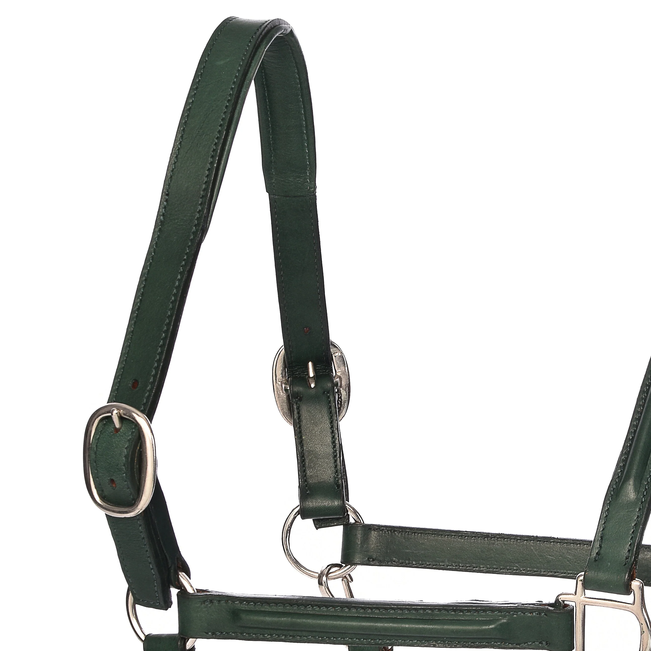 Derby Halters - Image 11