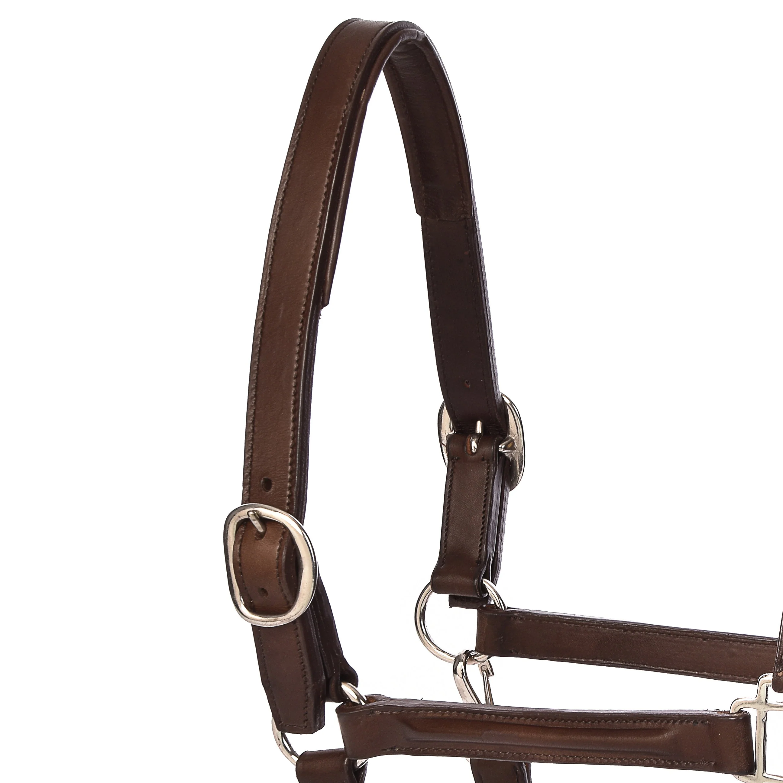 Derby Halters - Image 17