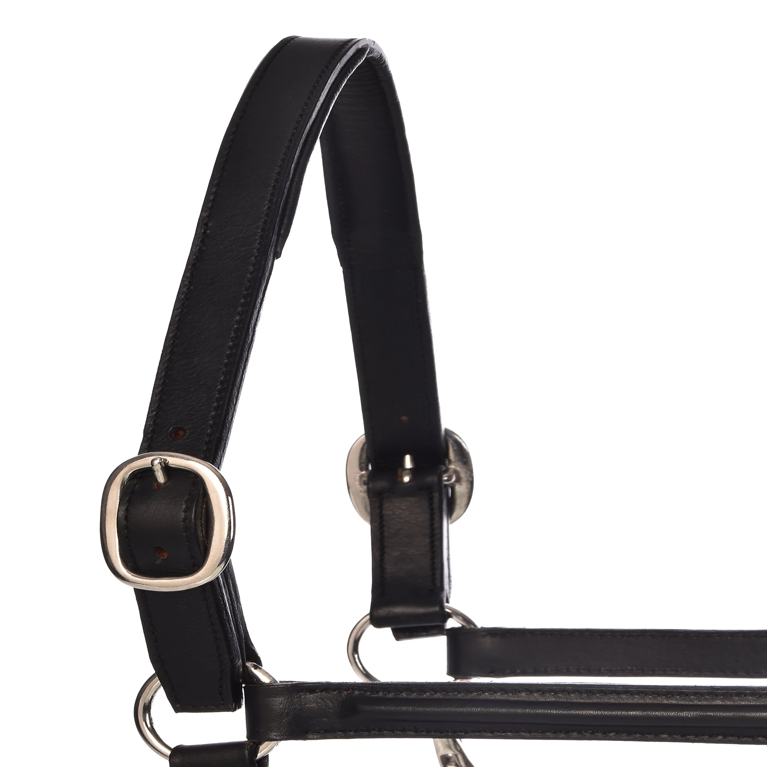 Derby Halters - Image 3