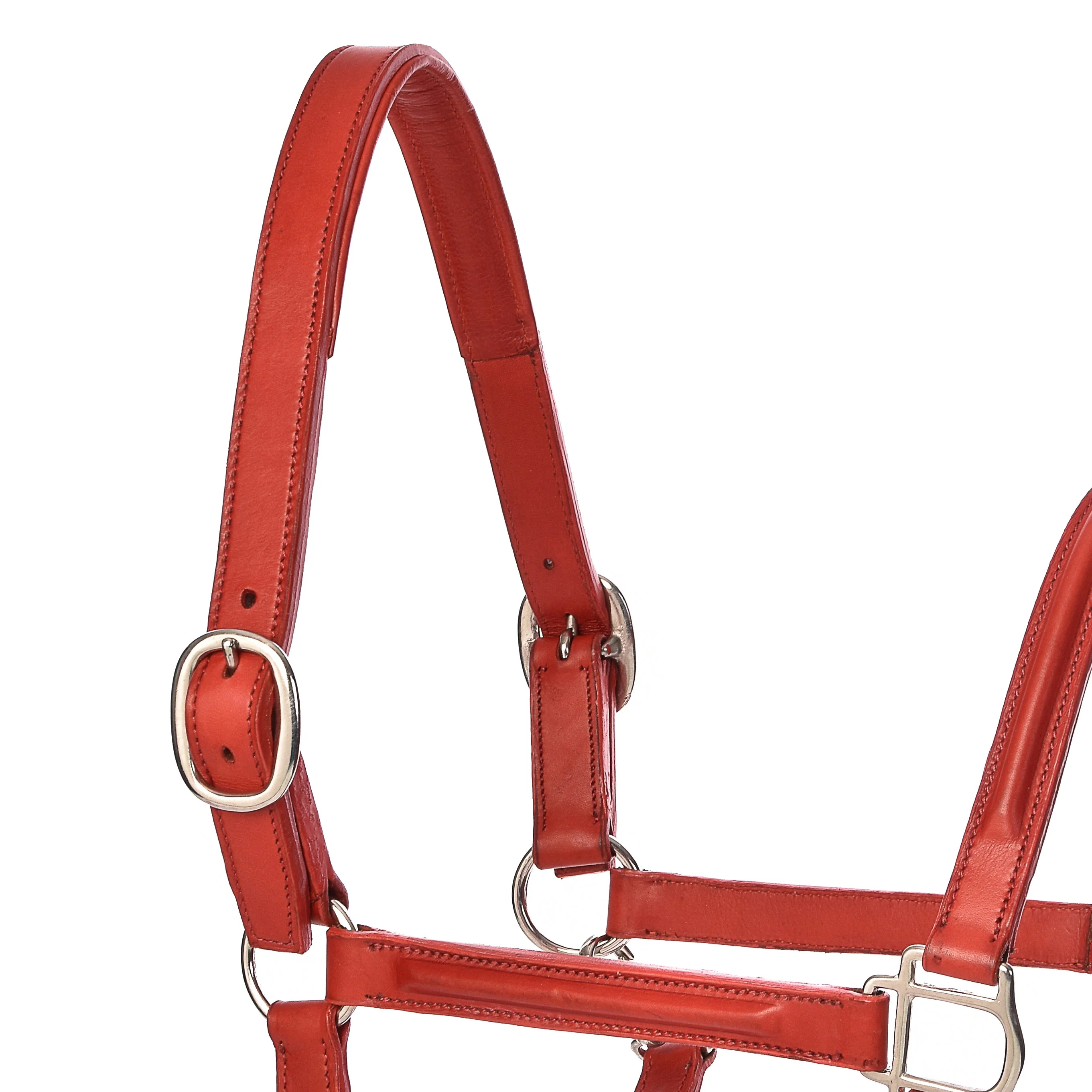 Derby Halters - Image 32