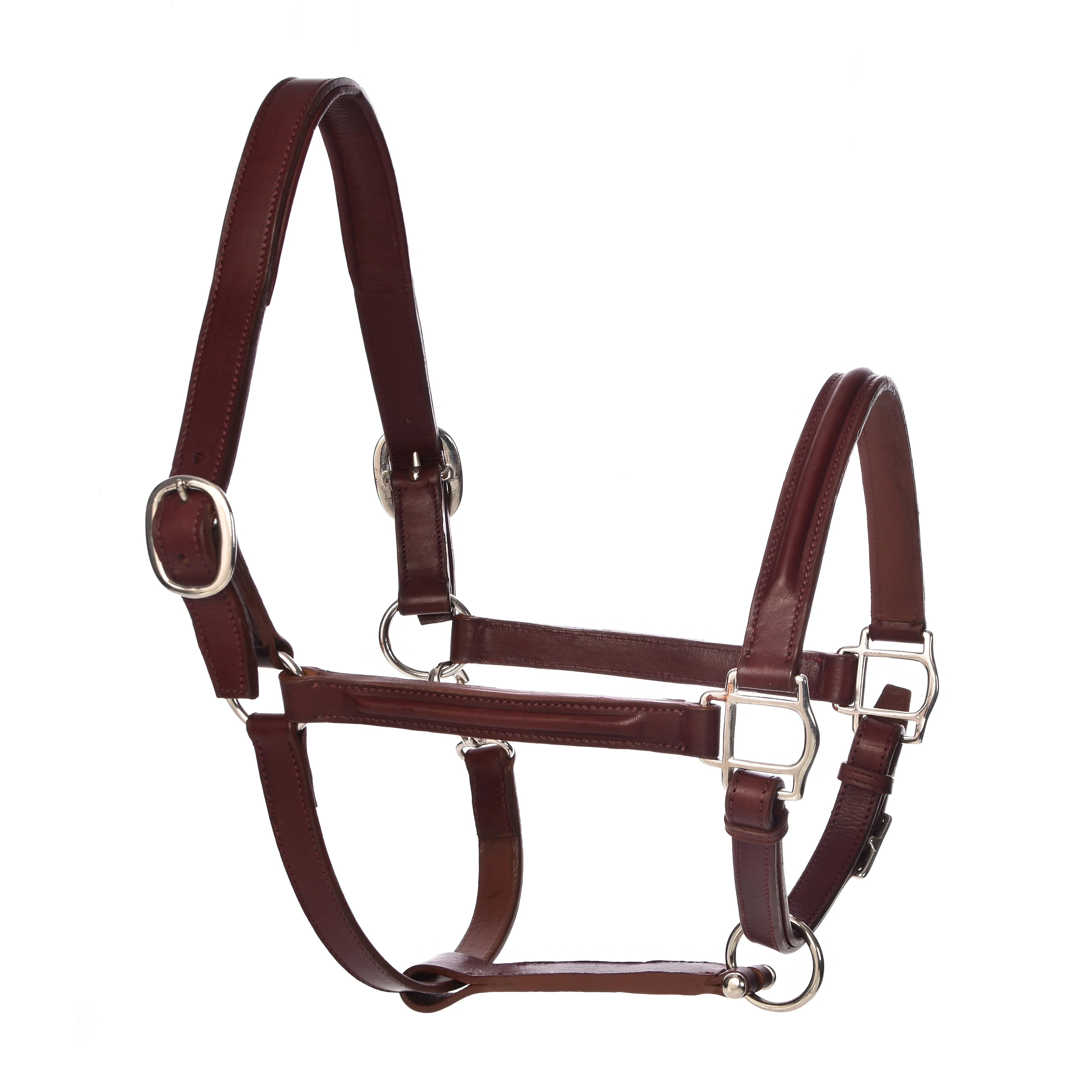 Derby Halters - Image 33