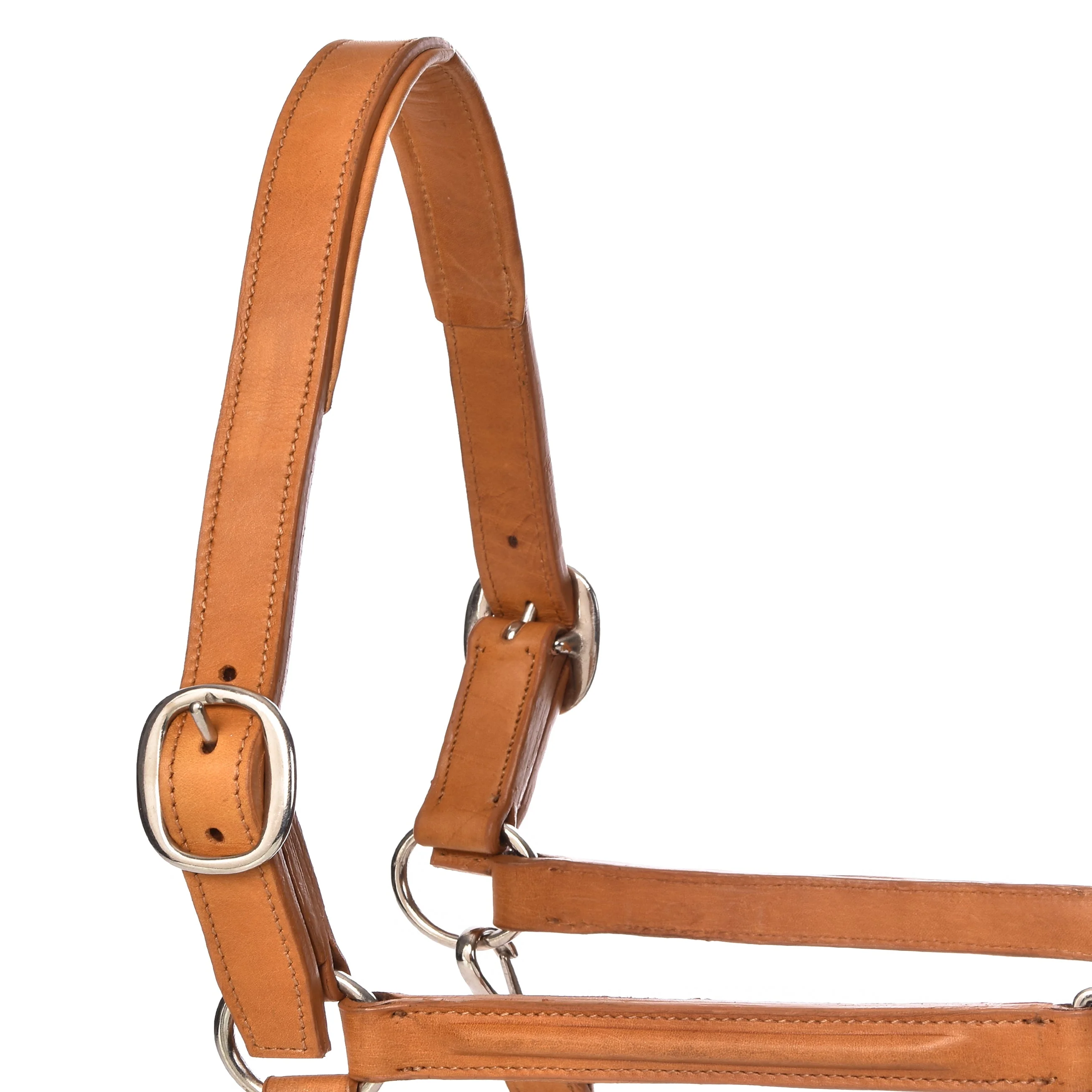 Derby Halters - Image 6