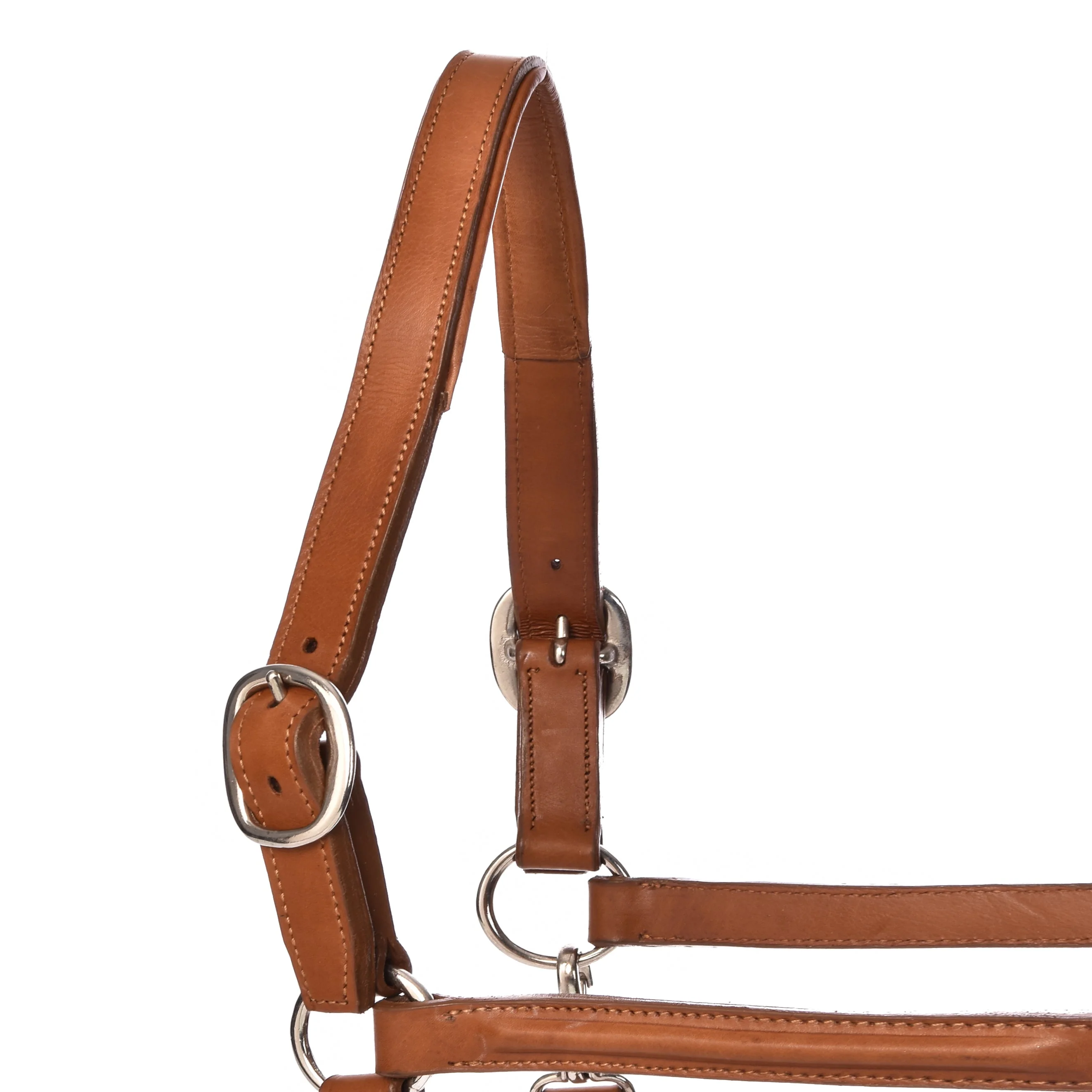 Derby Halters - Image 8