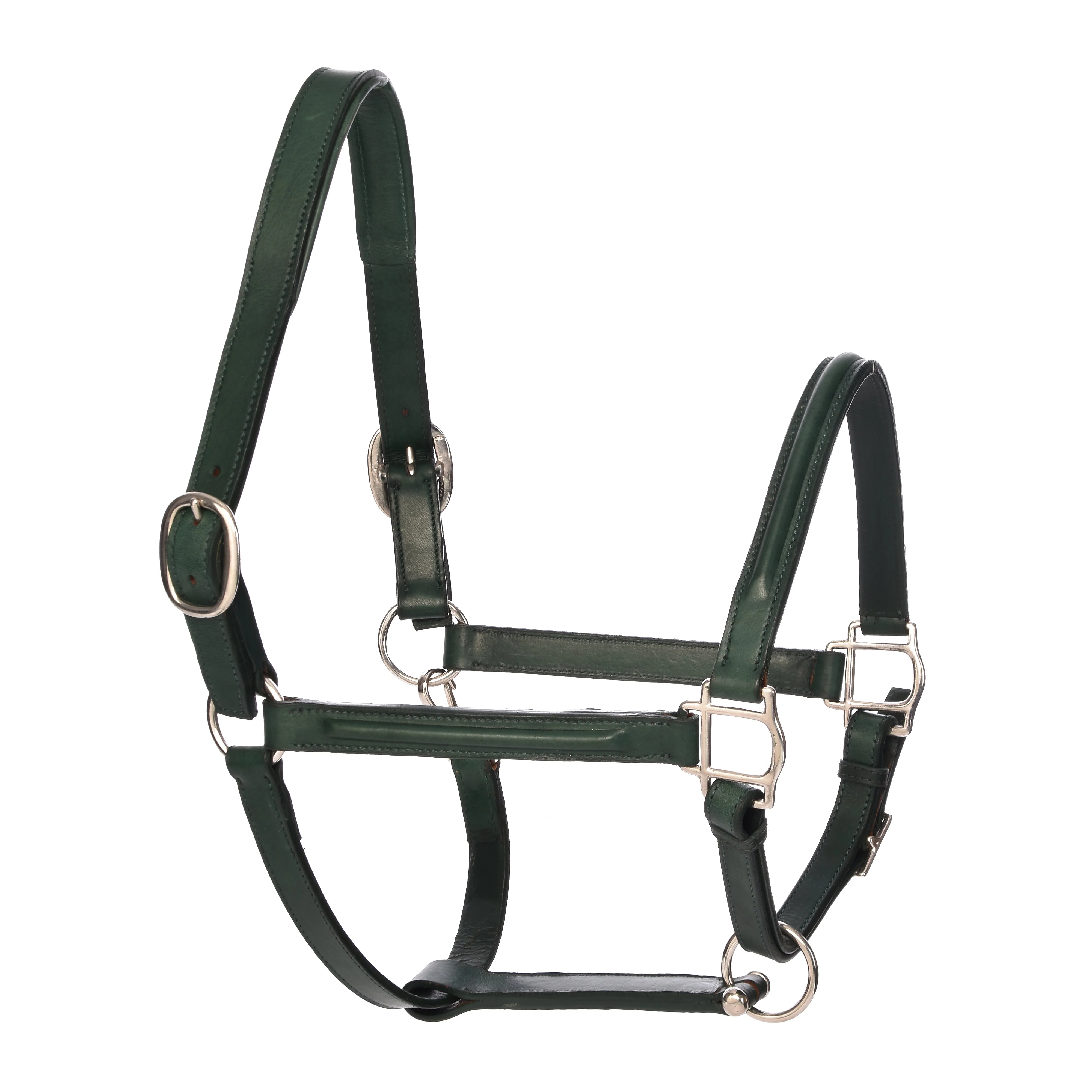 Derby Halters - Image 9